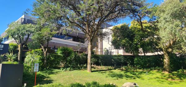 426.8 m² Commercial space