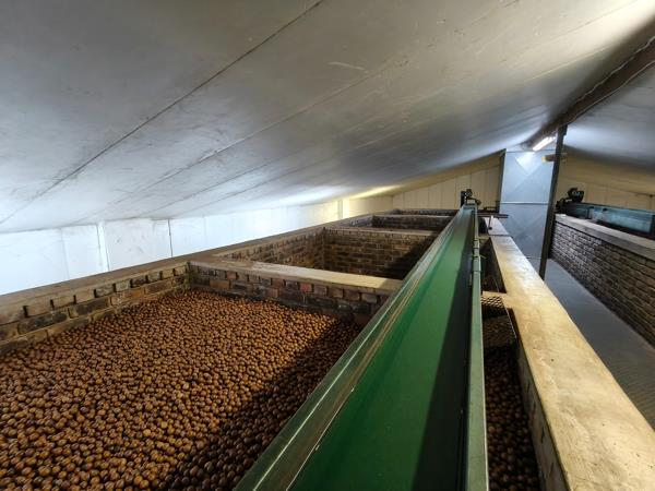 303 ha Commercial Farm