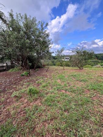 1 713 m² Land