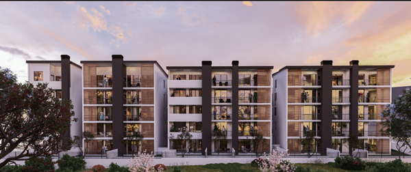 1 Bedroom Apartment