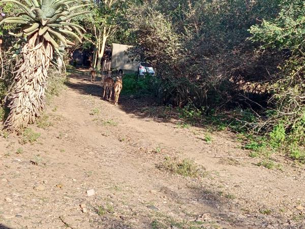 1 600 m² Land