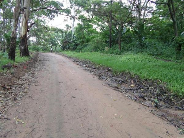 7 102 m² Land