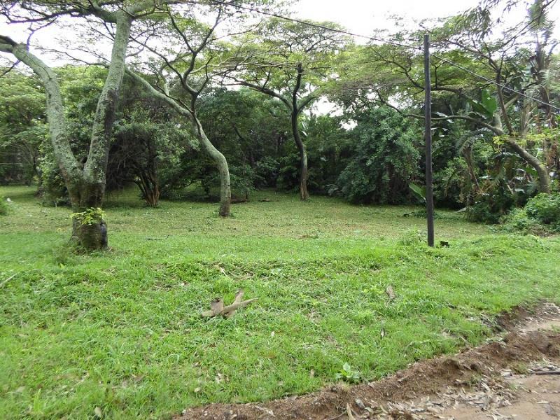 7 102 m² Land
