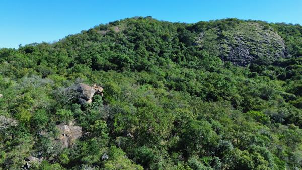 4.3 ha Land