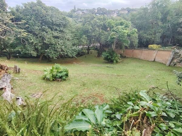 2 313 m² Land