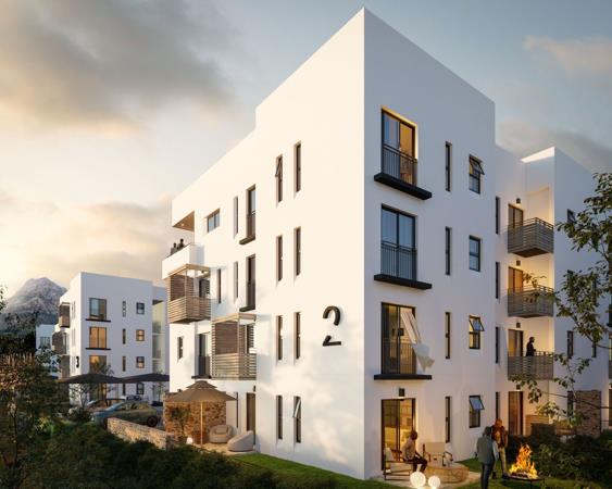 1 Bedroom Apartment