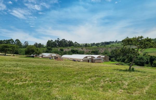 10.2 ha Farm