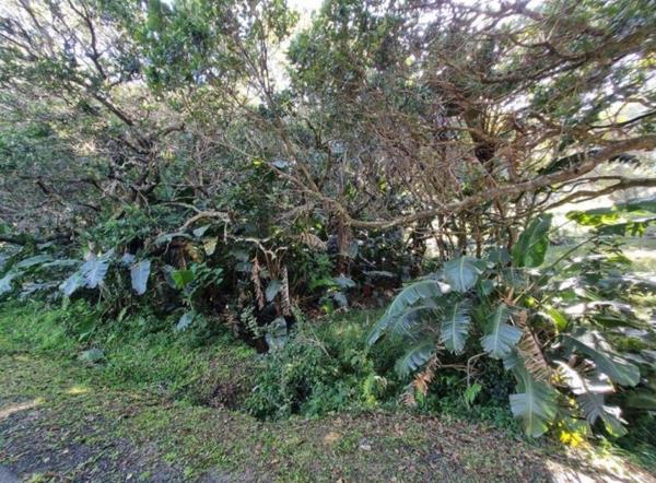 1 892 m² Land