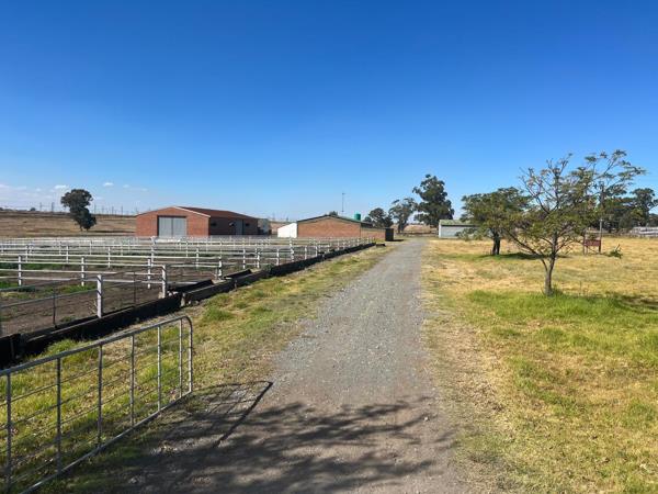 99 ha Commercial Farm