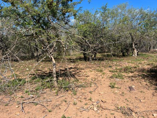 1 600 m² Land