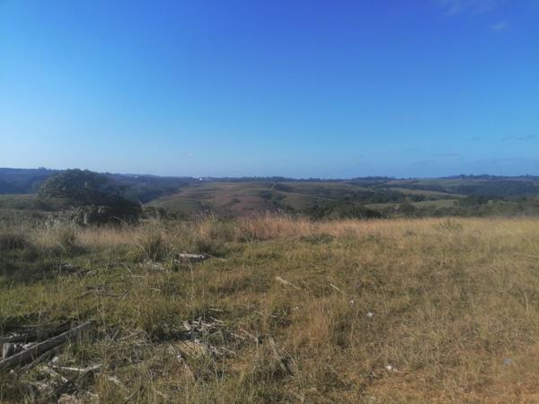 19 ha Farm