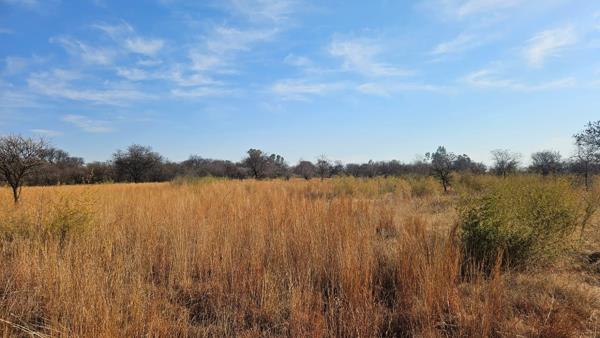 2.1 ha Land