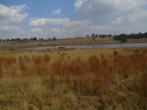3.1 ha Land