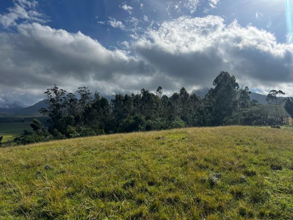 21.6 ha Farm