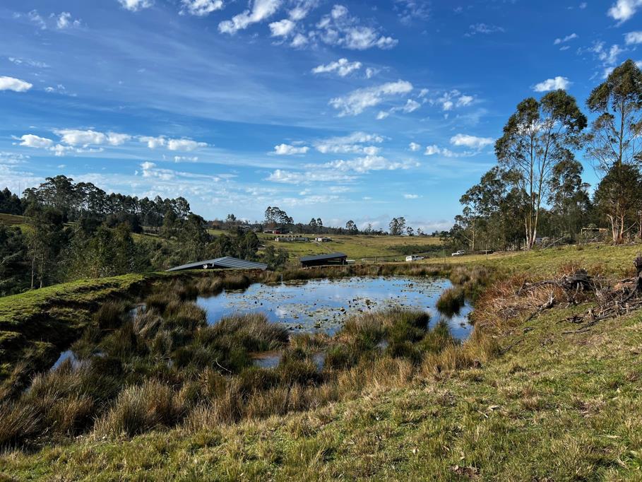 21.6 ha Farm