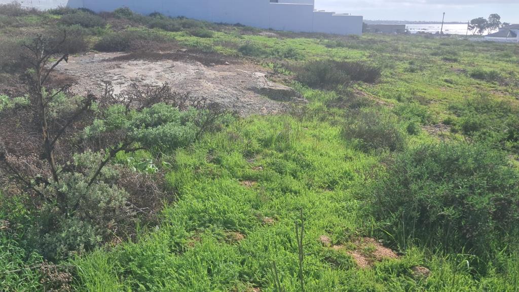 781 m² Land