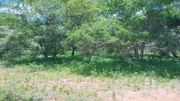 1 600 m² Land
