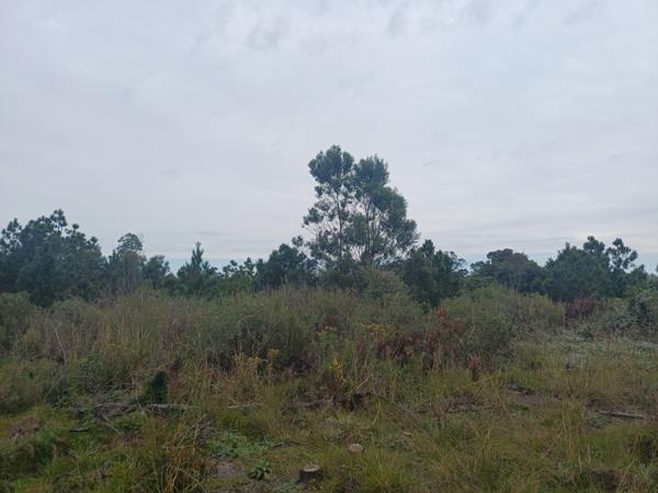 2.5 ha Land