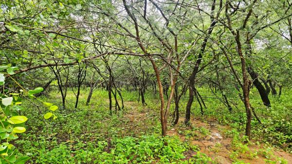 2 143 m² Land