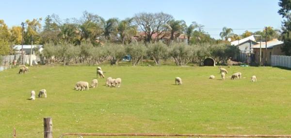 2 855 m² Land