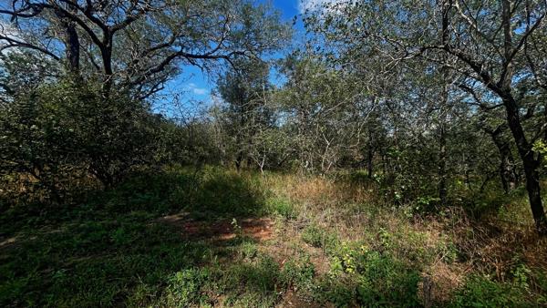2 934 m² Land