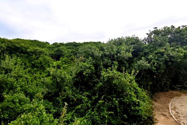 254 m² Land