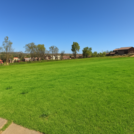 590 m² Land