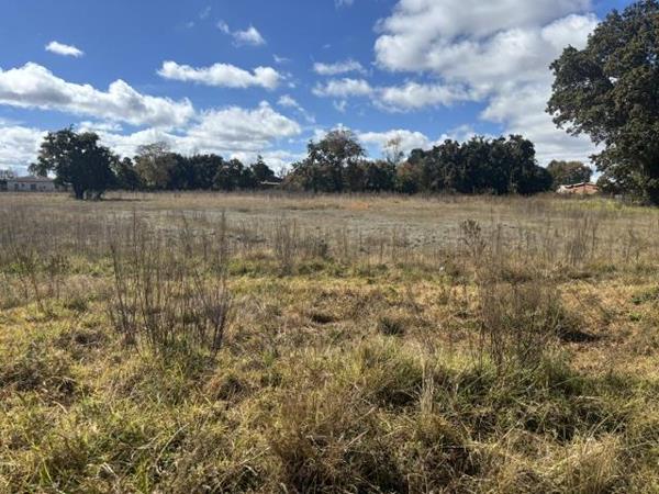 8 565 m² Land