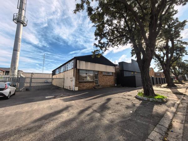 165 m² Commercial space