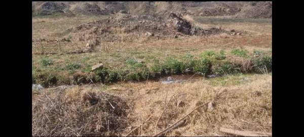 1 ha Farm