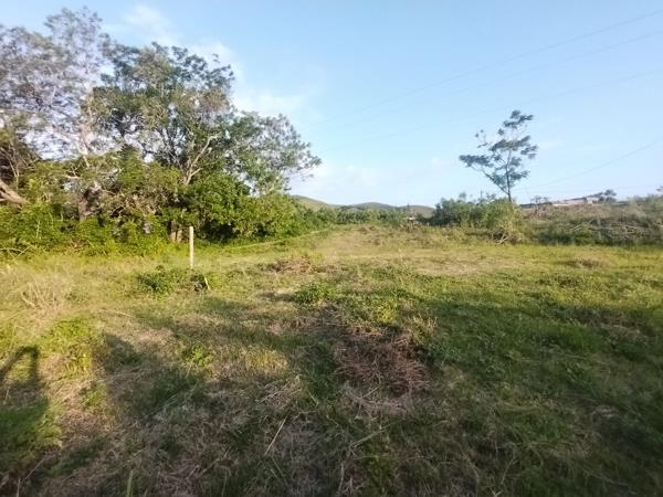 1 ha Land