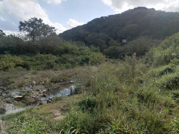 1 ha Land