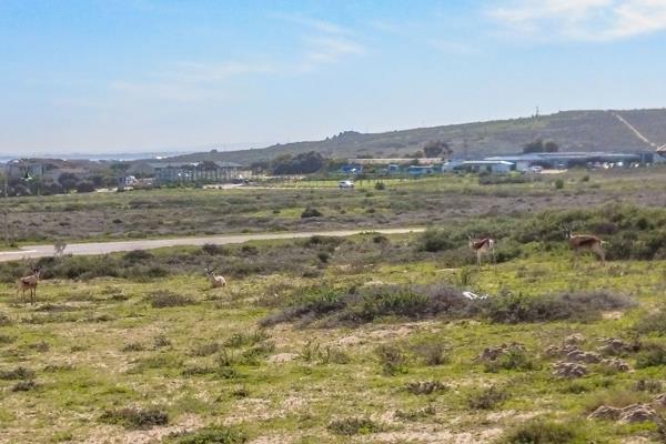 655 m² Land