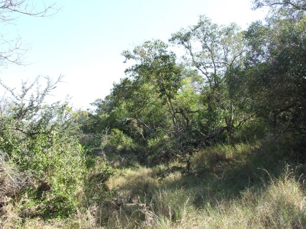 2 ha Land