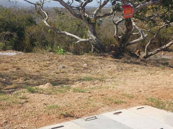 304 m² Land