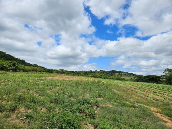 4.8 ha Farm