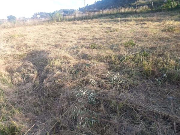 593 m² Land