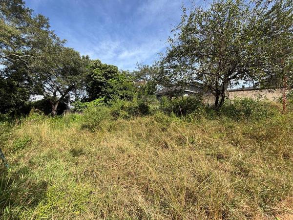 1 113 m² Land