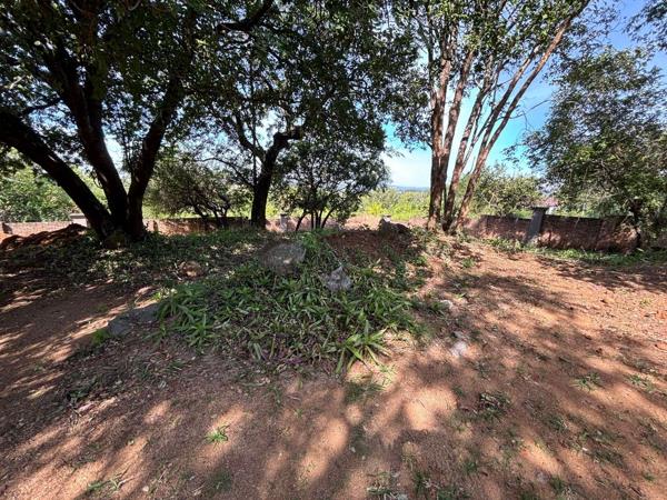 539 m² Land