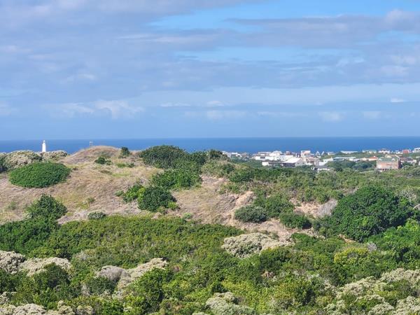 6 995 m² Land