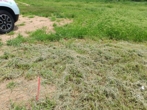 248 m² Land
