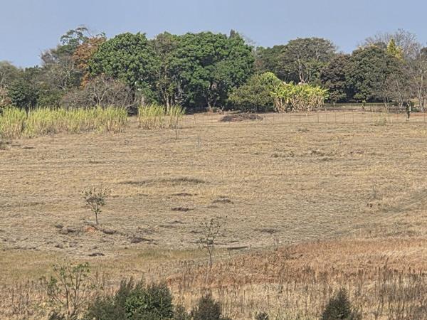 1 ha Land