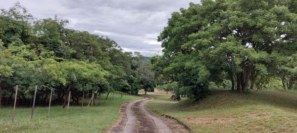 11.4 ha Farm