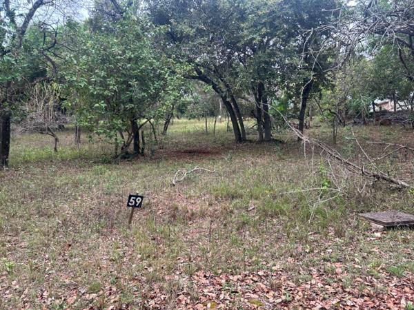 8 000 m² Land