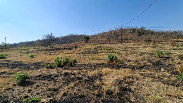692 m² Land