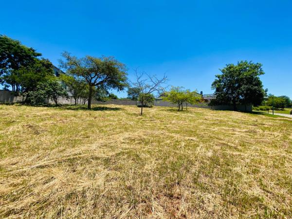 1 029 m² Land