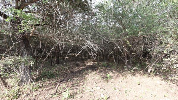 2 200 m² Land