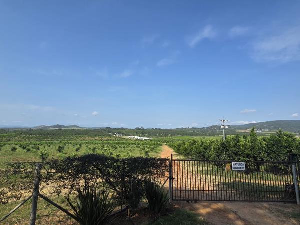 14.6 ha Farm
