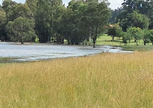 31.6 ha Land