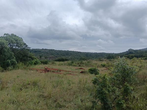 Farm